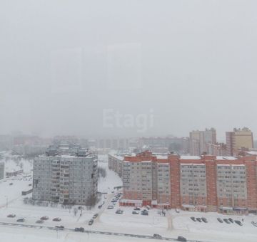 Череповец виста годовикова