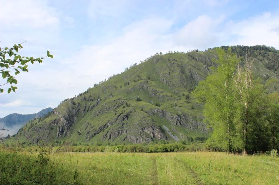 Село анос горный алтай фото